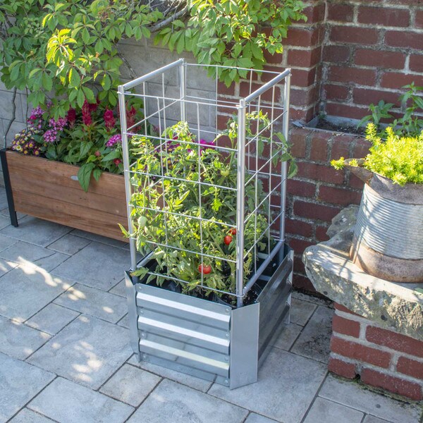 Galvanized Steel Raised Garden Bed